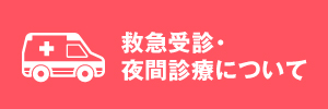>救急受診・夜間診療について